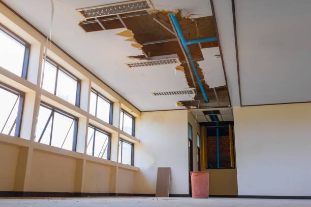 Best Water damage contractors near me  in Detroit Lakes, MN