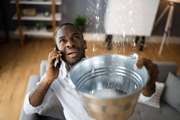 Best Carpet water damage restoration  in Detroit Lakes, MN