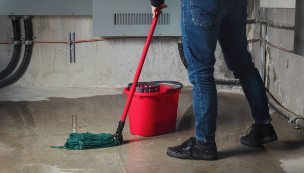 Best Residential water damage restoration  in Detroit Lakes, MN