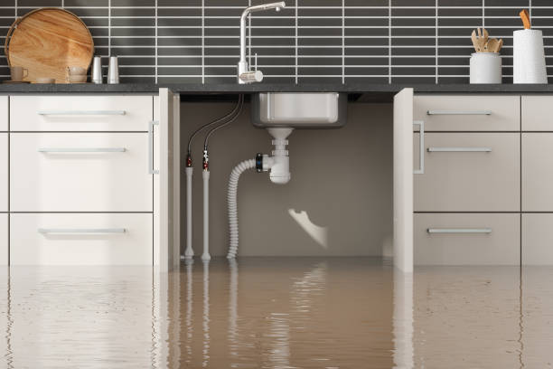 Best Ceiling water damage repair  in Detroit Lakes, MN