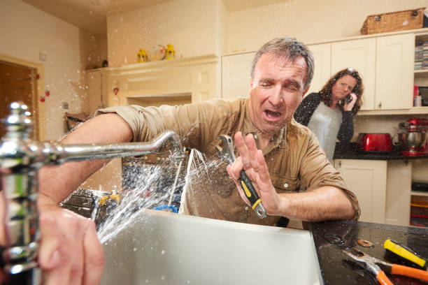 Best Local water damage restoration  in Detroit Lakes, MN